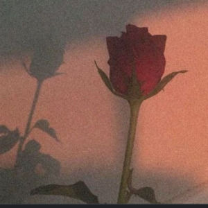 Meet your Posher, Chivonne